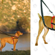 Halti Front Control Harness | $7 | Amazon